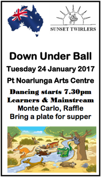 Screen Shot 2016-12-21 at 8.59.14 pm